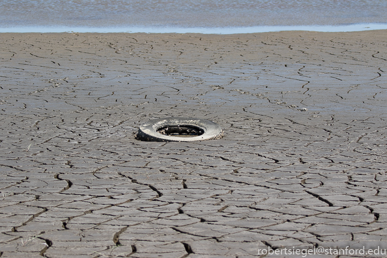 don edwards 2020 - dumbarton west